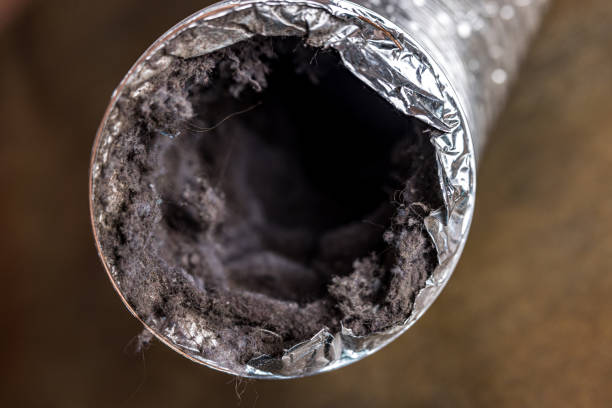 Best Local Air Duct Cleaning Services  in Verona, KY