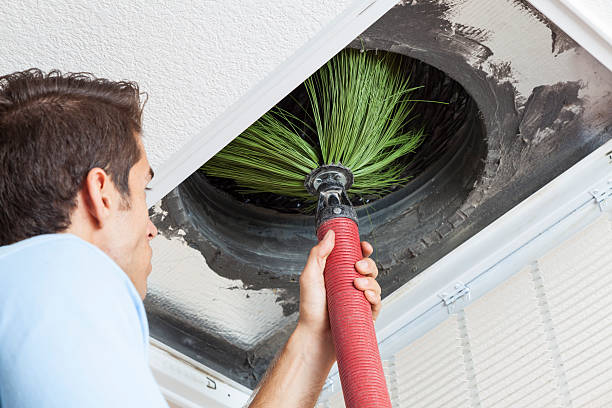 Best Duct Cleaning Specialists  in Verona, KY